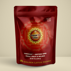 Shakti NRG Powerboost: Unleash Your Inner Alchemist with 40+ Superfoods & Adaptogens